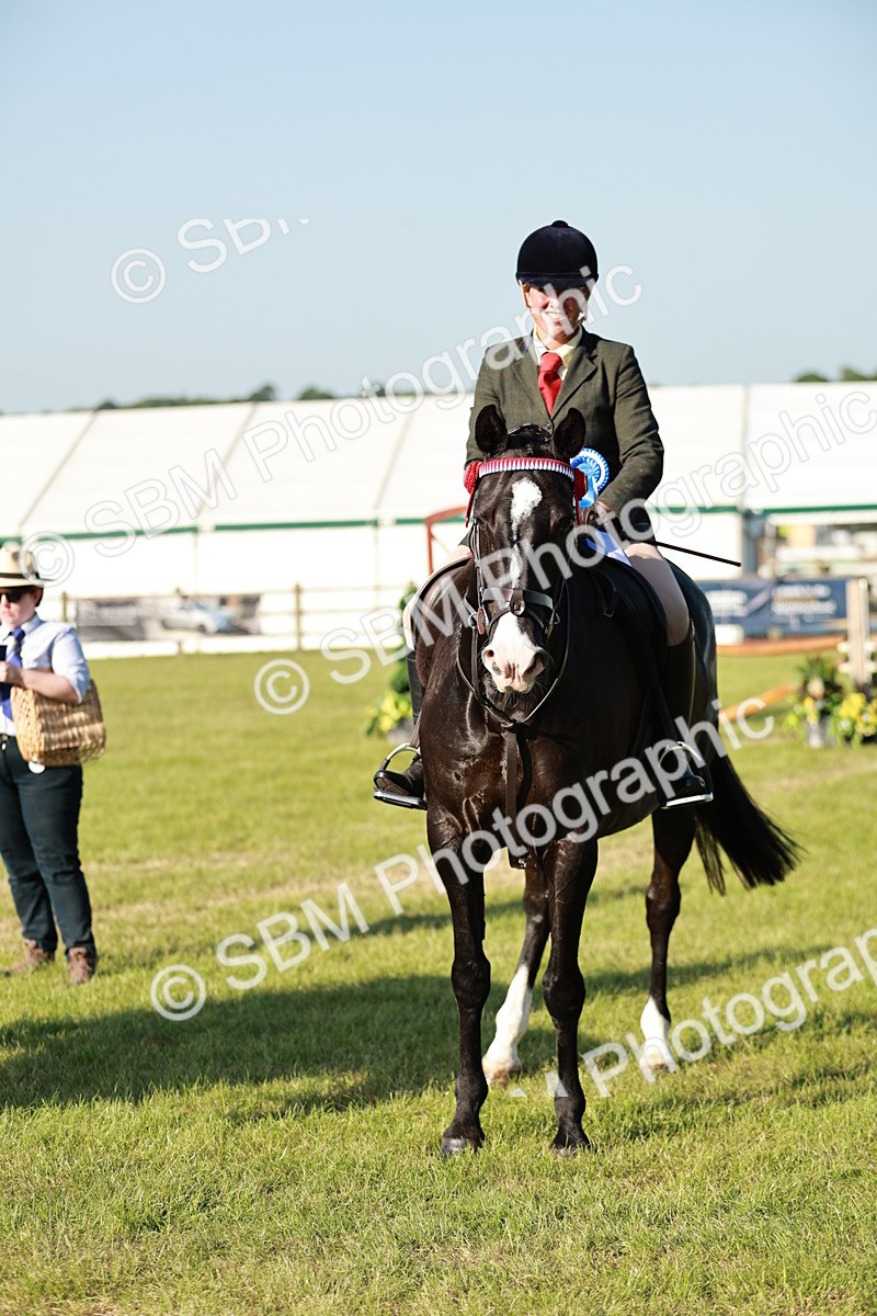 SBM_20131