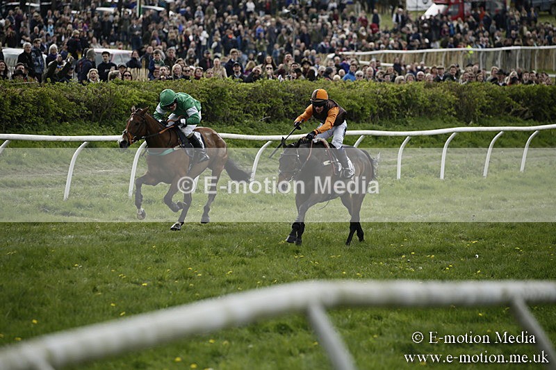 PtP 170417 192 - Old Berks Point-to-Point Lockinge 17/04/17