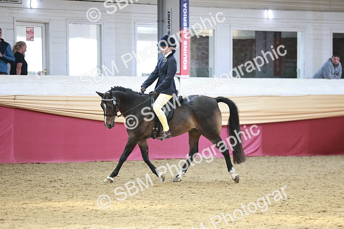 SBM_08288 - Class 11R - Regional Ridden Veteran