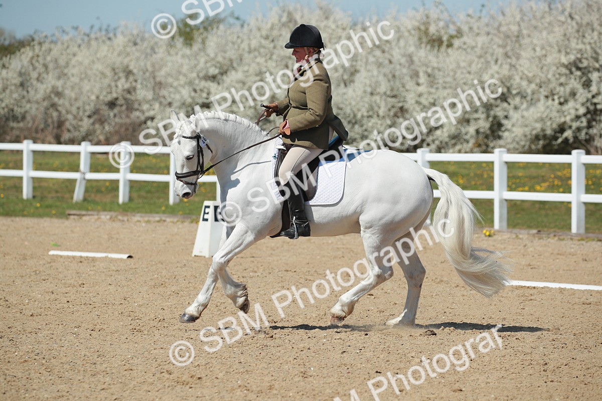 SJ3_1214 - Class 8 - E5