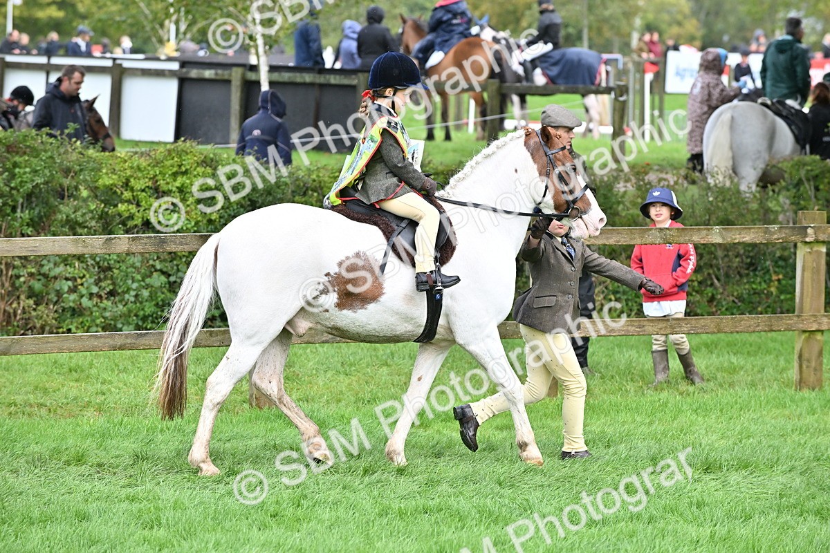 SBM_43056 - S12 - Family Horse & Pony