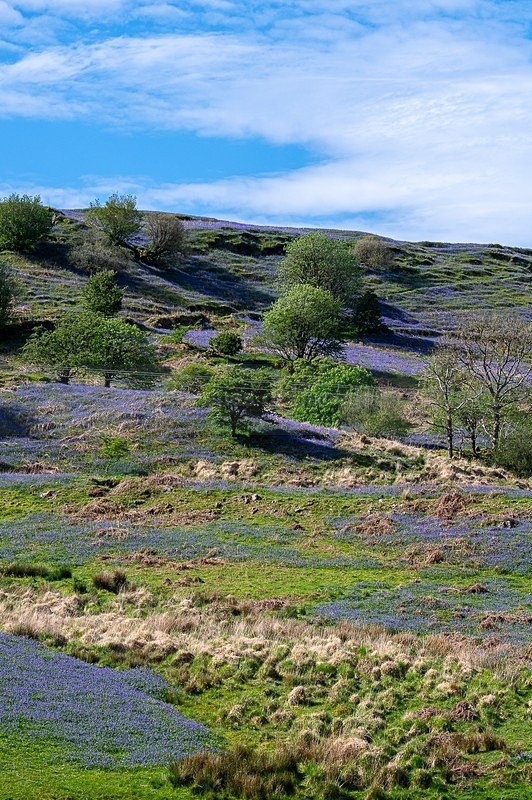MF2_3267 - Donegal Town & Lough Eske
