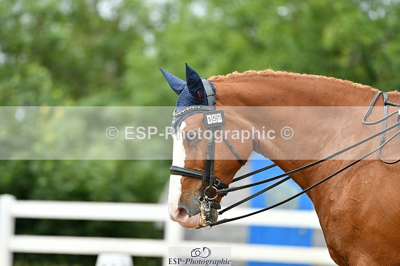 230702A-132443-09506 - Cls 29 Elementary 57