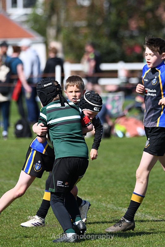  - Selby Rugby Festival 2025
