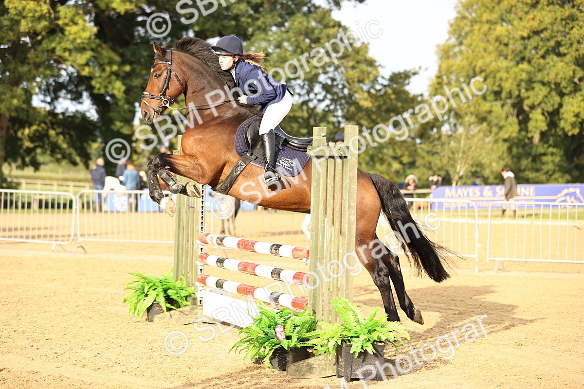 SBM_55233 - J62 - Clear Round 90cm