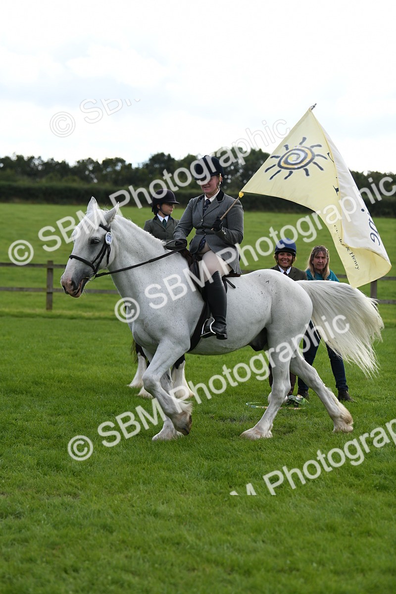 SBM_47191 - S12 - Family Horse & Pony