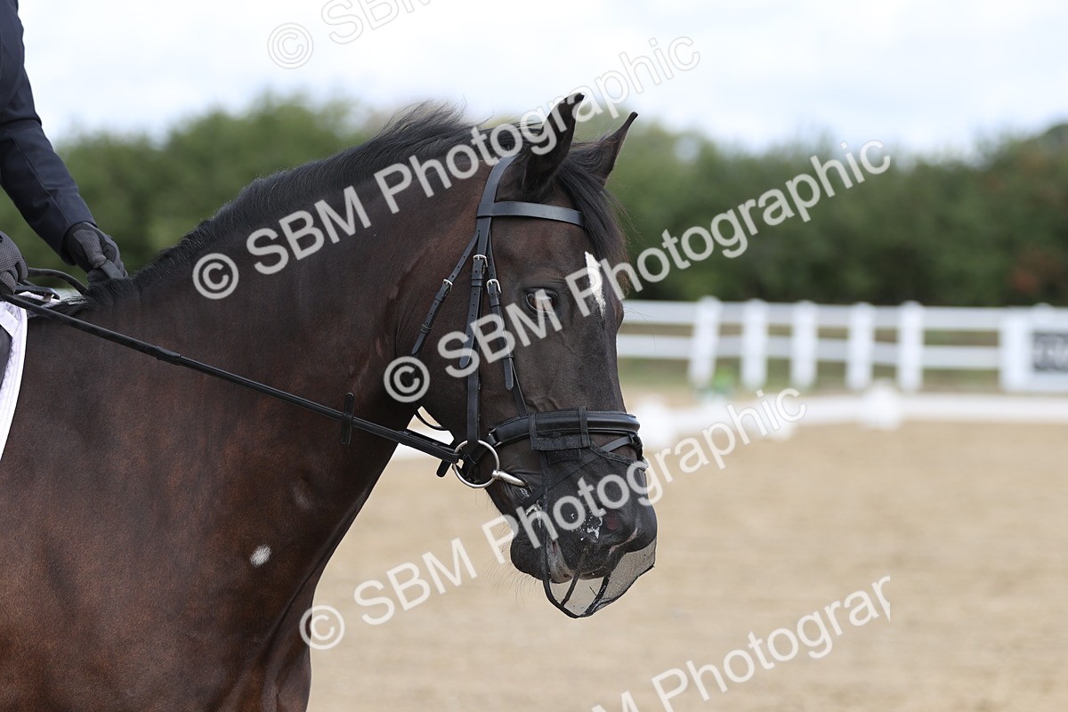SBM_001412 - Class 2 - Intro 4 Champs - 10.56-11.44