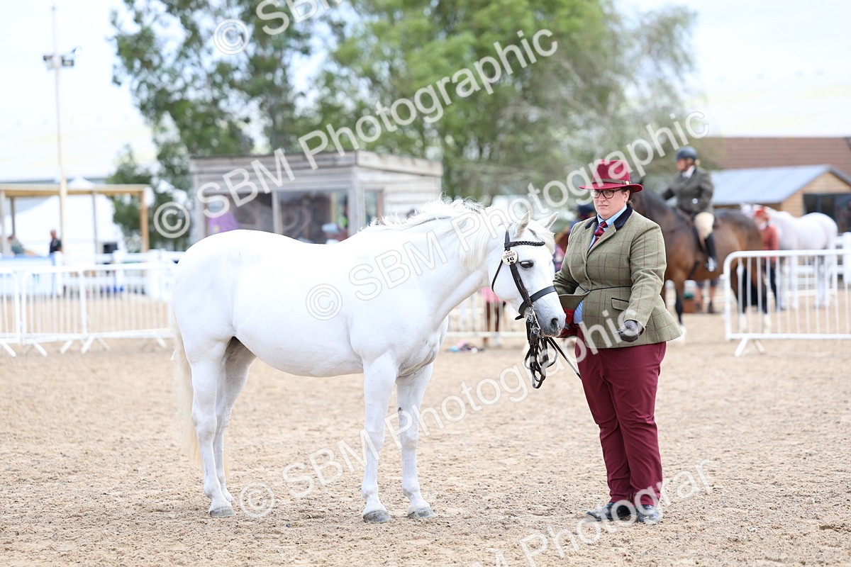 SBM_01506 - Class 17 - Prettiest Mare