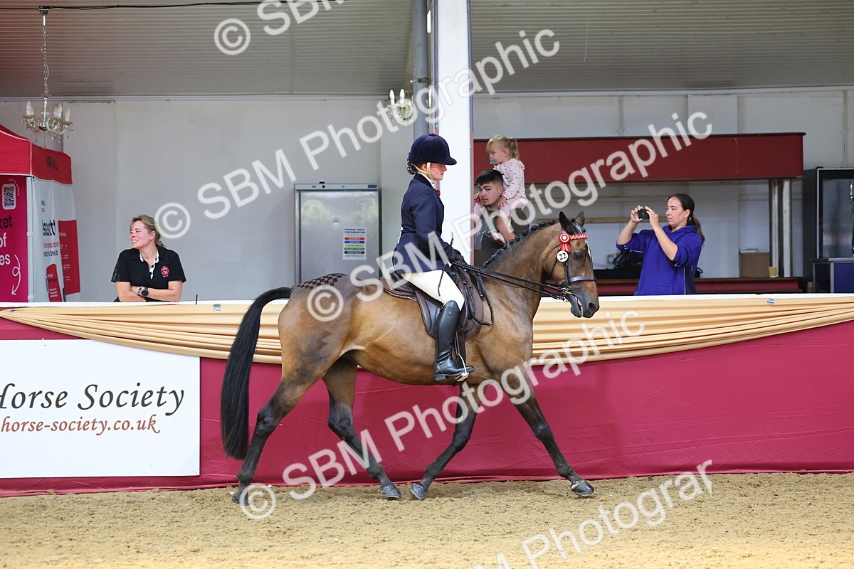 SBM_24035 - Class 905 - Supreme Final - Ridden Veteran