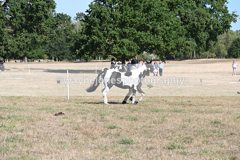 WJ6_7237 - Class 33 Rescue Pony
