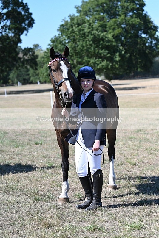 WJ7_1585 - Class 42 Most Handsome Gelding