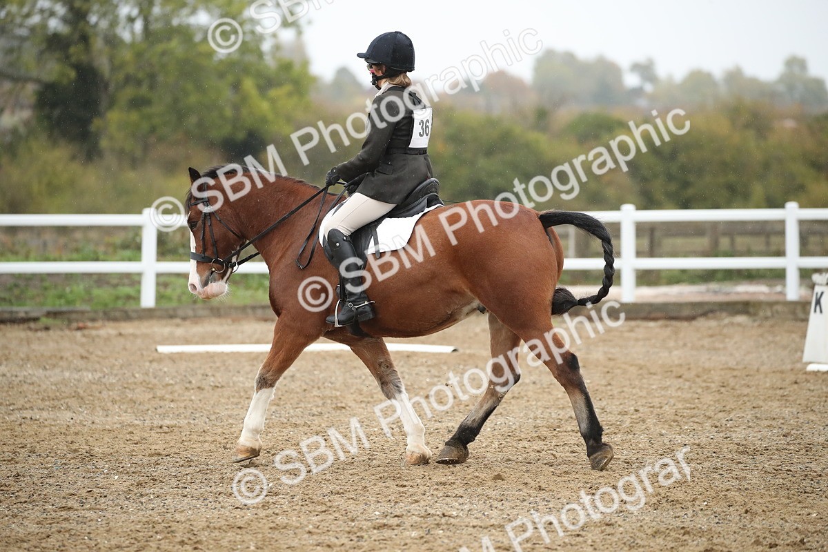 SBM_001376 - Prelim A-PYO
