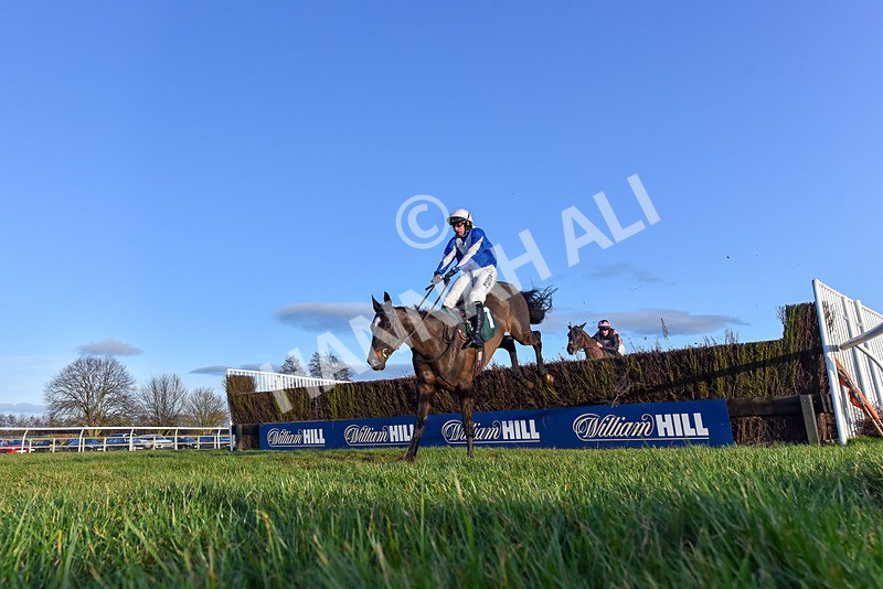 250225-Race 5-Sean Og-0793 - Race 5