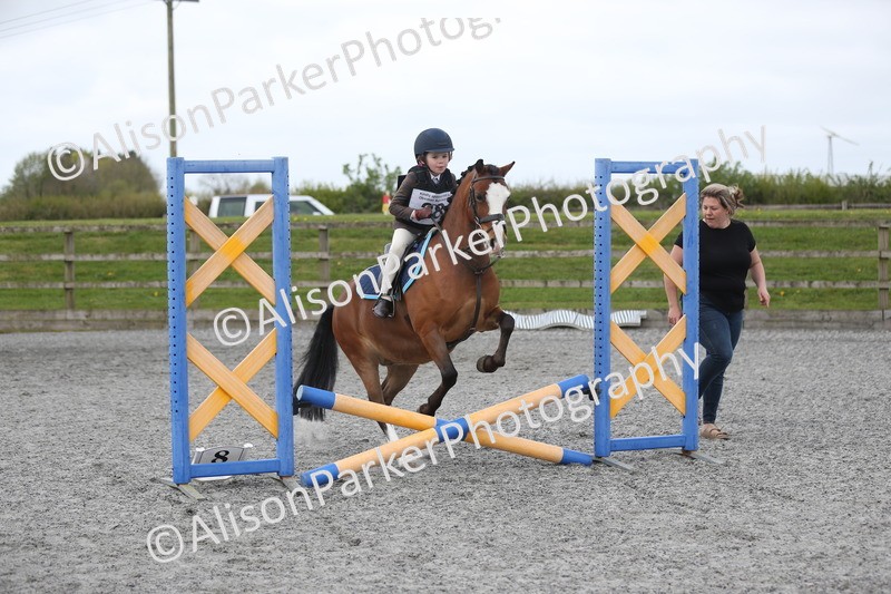 20260412-0116 - Show Jumping