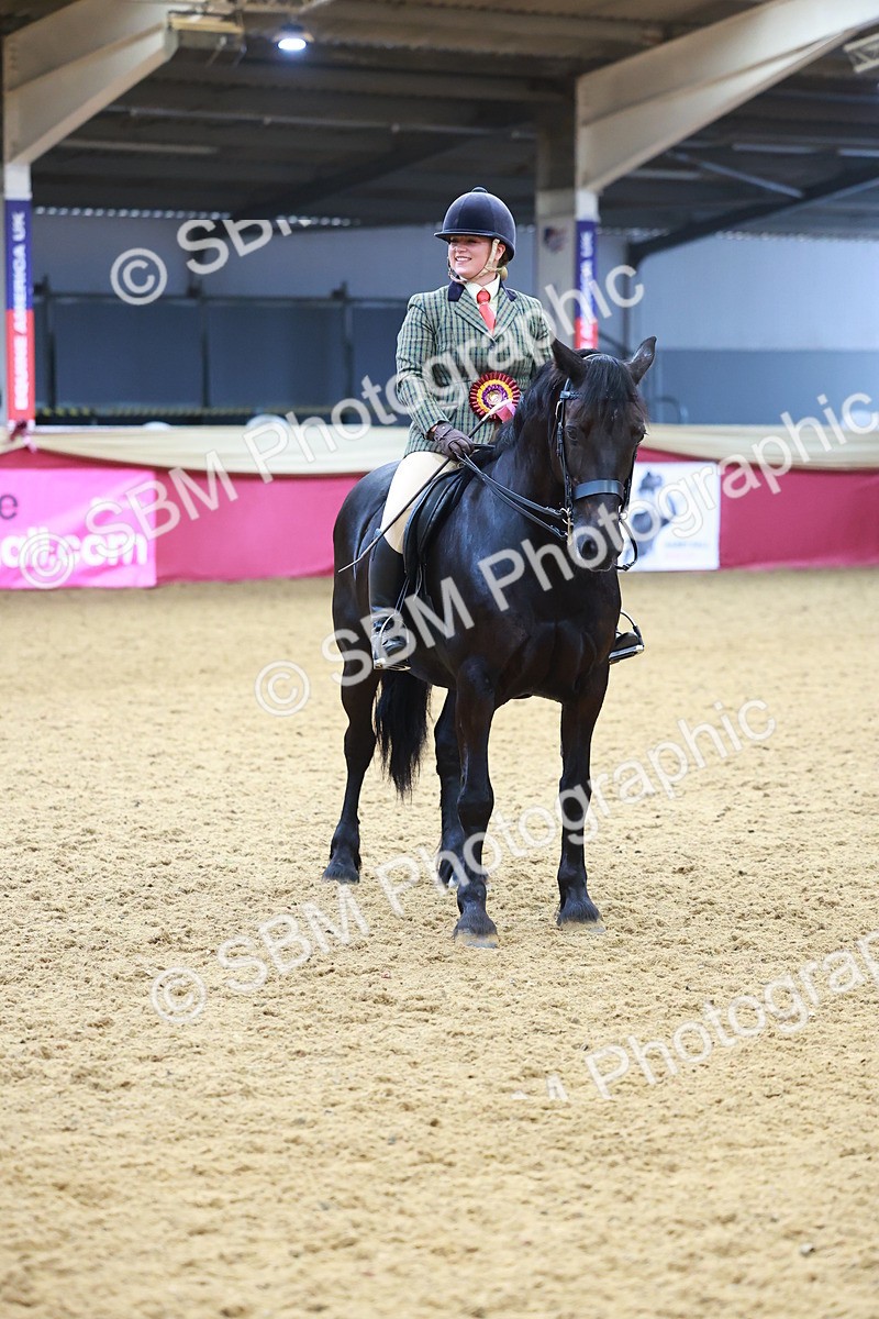SBM_09876 - Class 102 - HOYS Veteran Qualifier - Ridden Veteran
