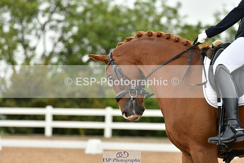 230912A-131029-01031 - Cls 15 Music Adv Medium