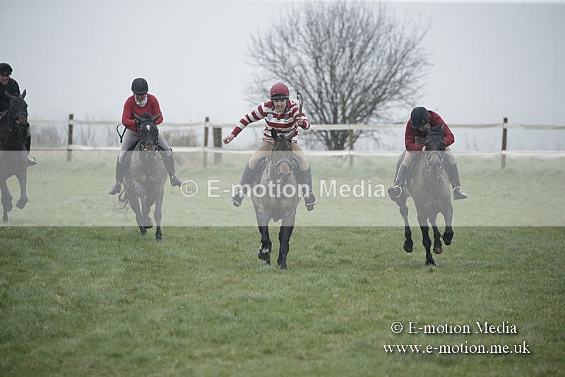 PtP 150320 0001 - New Forest Point-to-Point Larkhill 15/03/20