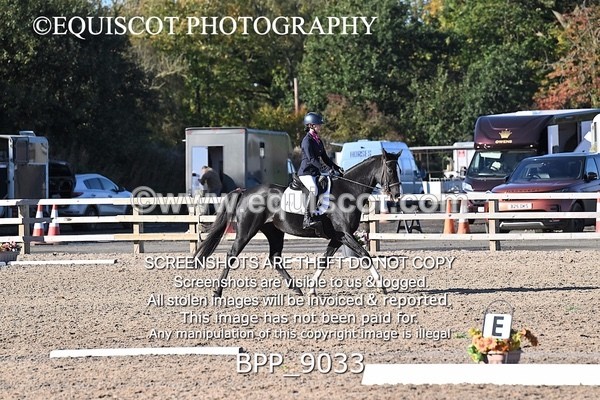 BPP_9033 - SHORT ARENA INTRO 3