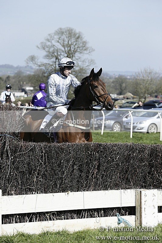 PtP 260317 39 - Mendip Farmers Point-to-Point Ston Easton 26/03/17