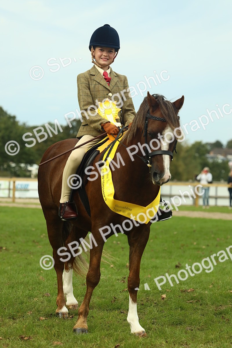 SBM_70007 - S59 - Mountain & Moorland Ridden Small Breeds