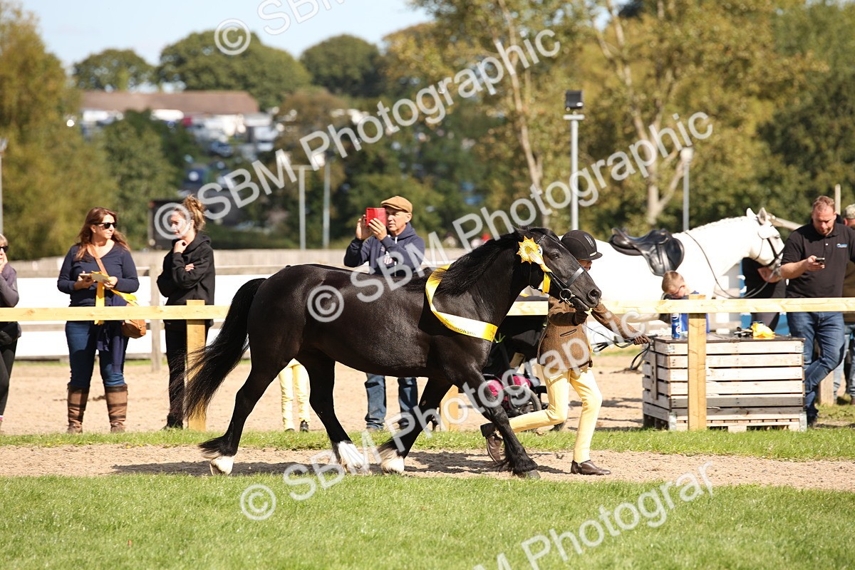 SBM_40885 - Fun Showing Supreme Championship
