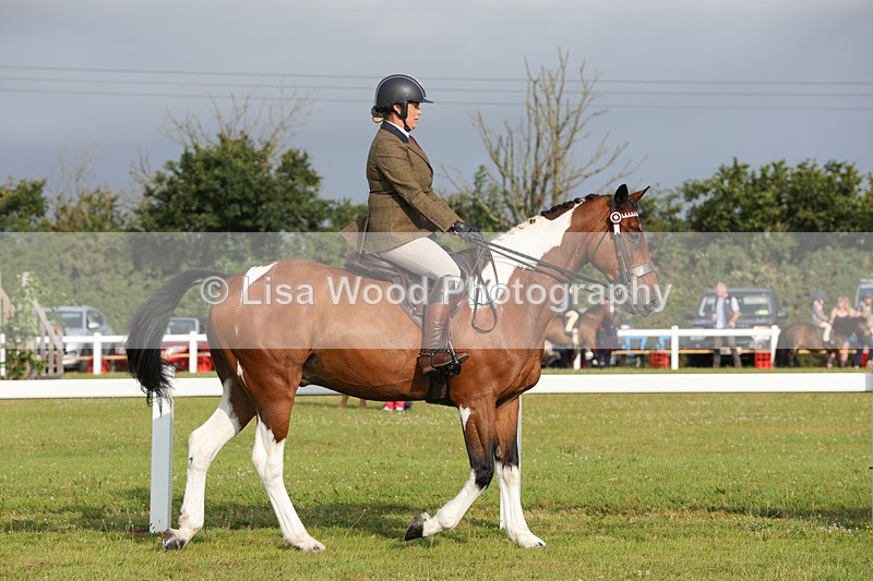 1X9A2832 - Class 25: Ridden Plaited Coloured Horse