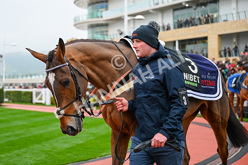 131224-Race 5-Shakem UpArry-9769