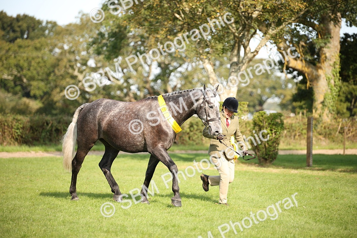SBM_60140 - S53 - Hunter In Hand