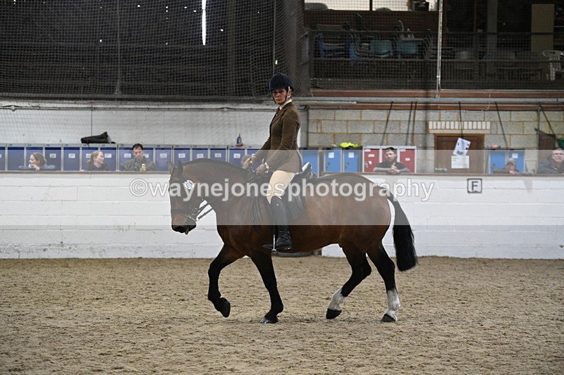 WJ7_3979 - Class 17 Ridden Cob