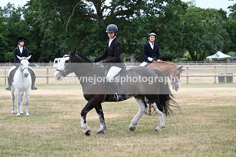 WJ7_0308 - Class 2 Best rider