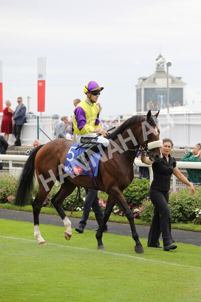 yr23072022r3-3 - Race 3 3.15pm Sky Bet York Stakes