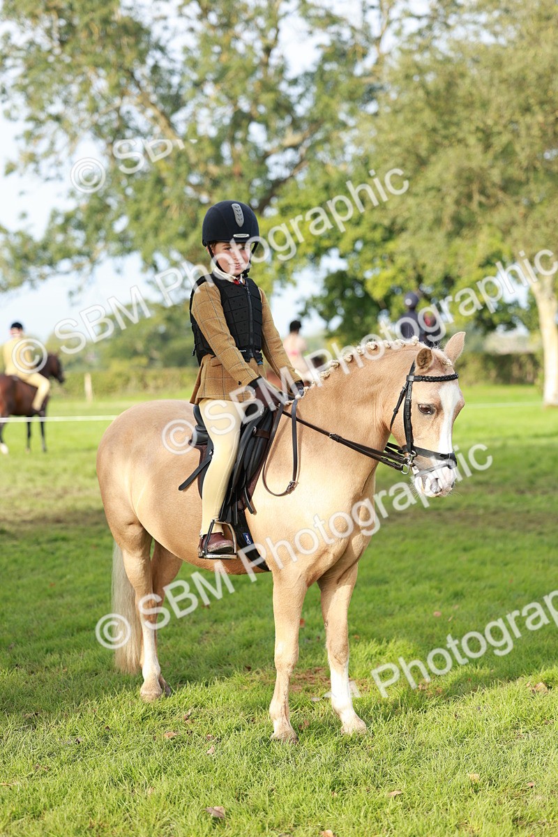 SBM_56417 - S39 - Starters In Hand Showing