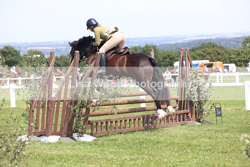 JPP_3561 - Class 23: Working Hunter 80cm