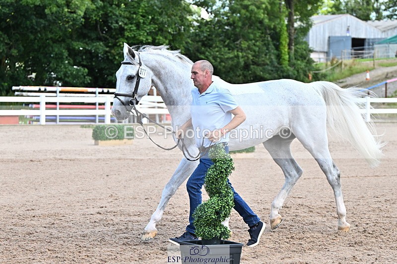 240718A-105253-01278 - Trot Up 12pm to 1pm
