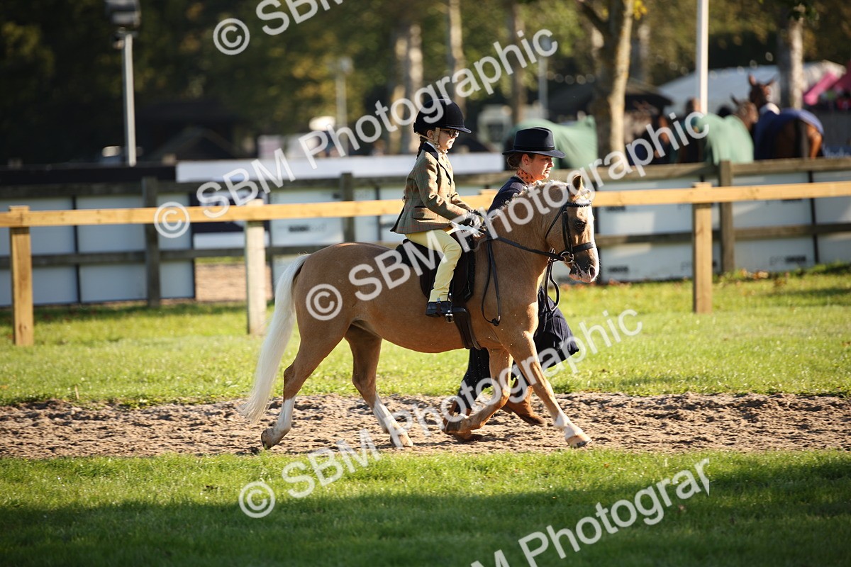 SBM_34178 - S9 - Lead Rein Equitation
