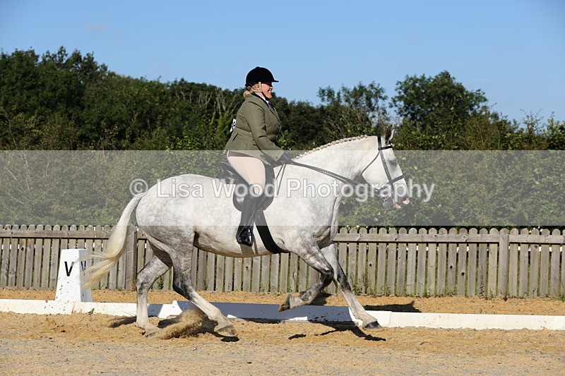 1X9A7576 - Class 7: Novice Ridden Hunter/Hack/Cob/Riding Horse