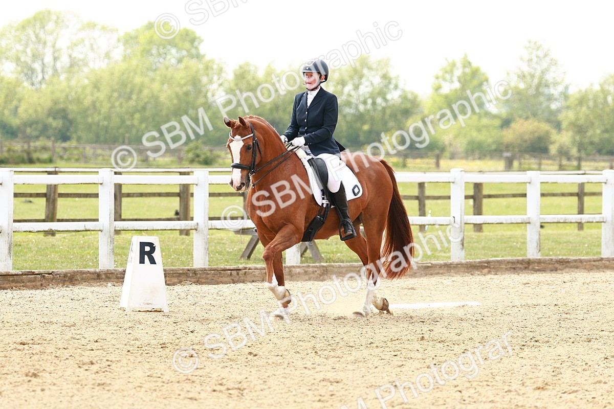 SBM_002892 - Class 12 - Medium 4