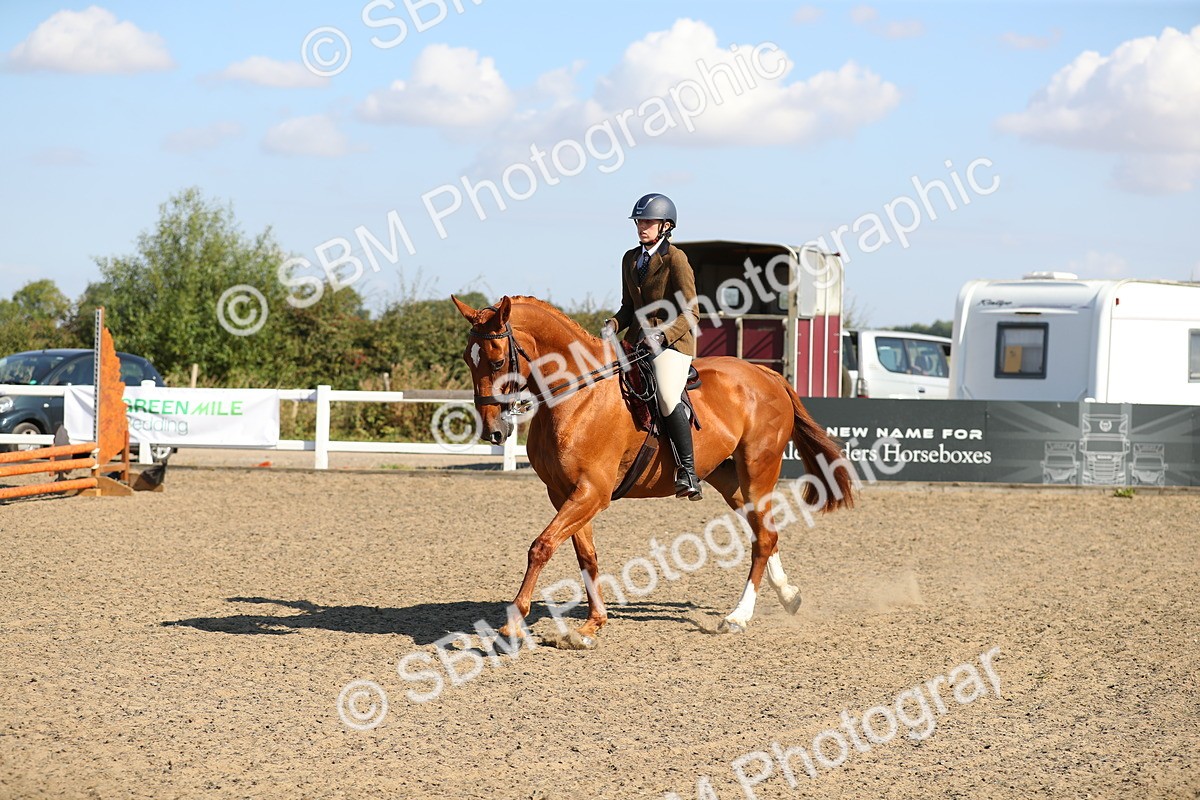 SBM_02295 - Class 43 Ridden Competition Horse/Pony