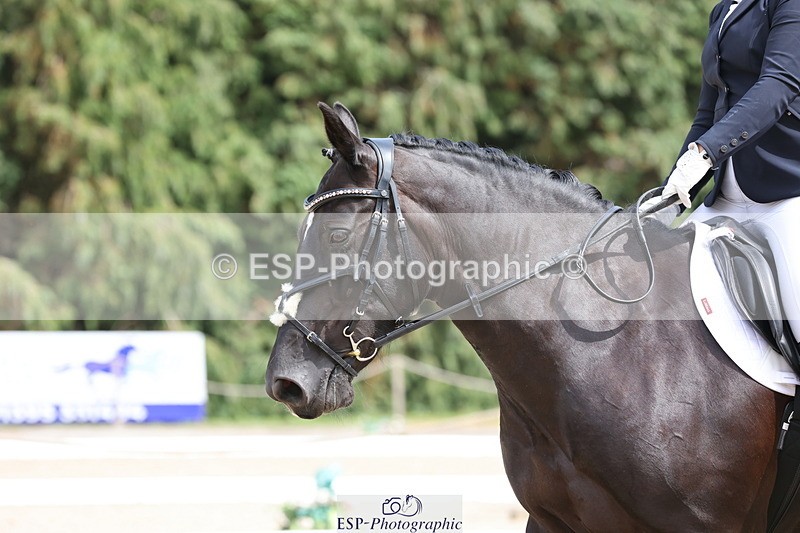 250718A-150808-02386 - 130-Nicole.Kerrison-Tallulah.Star