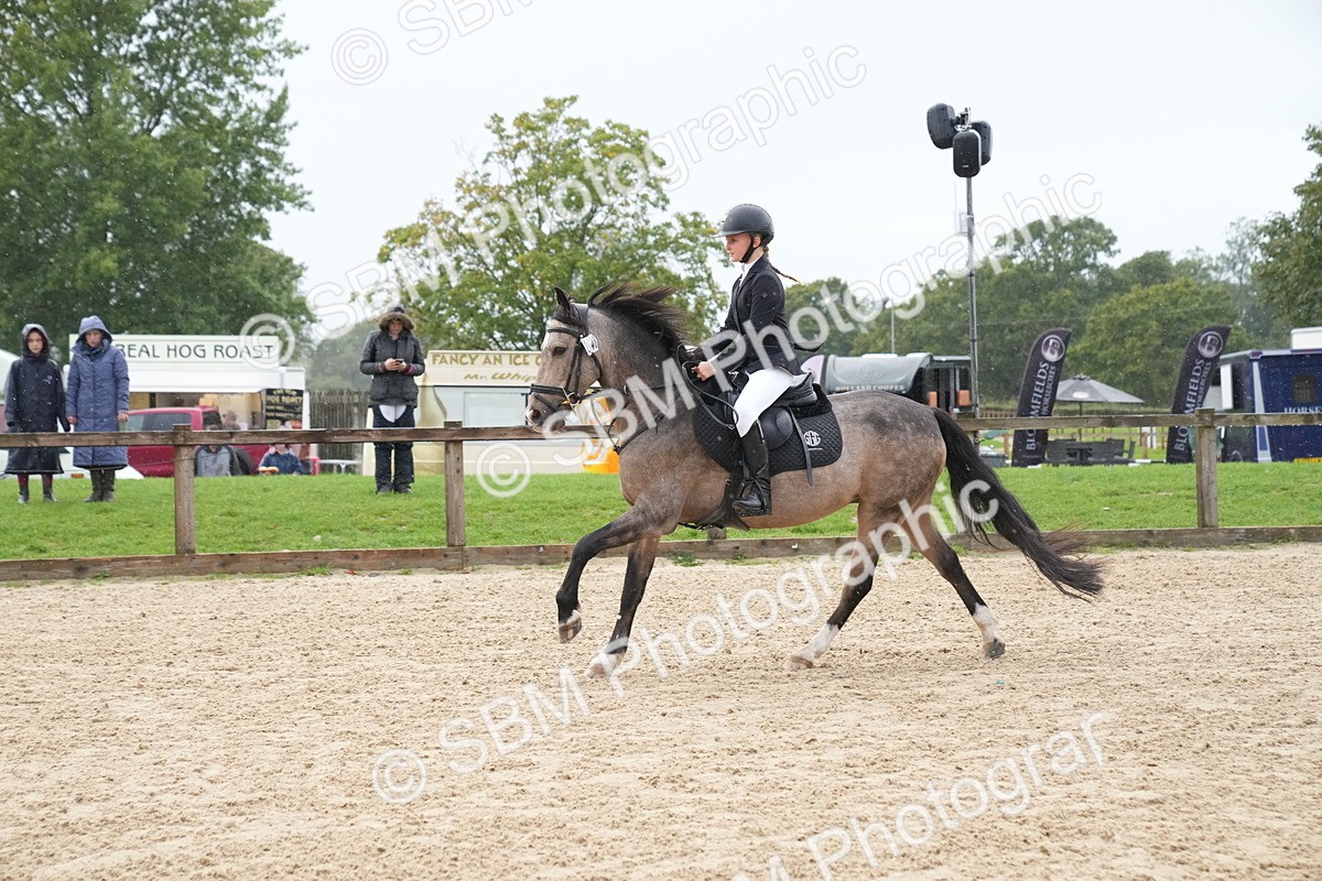 SBM_00214 - J53 - Clear Round 40cm