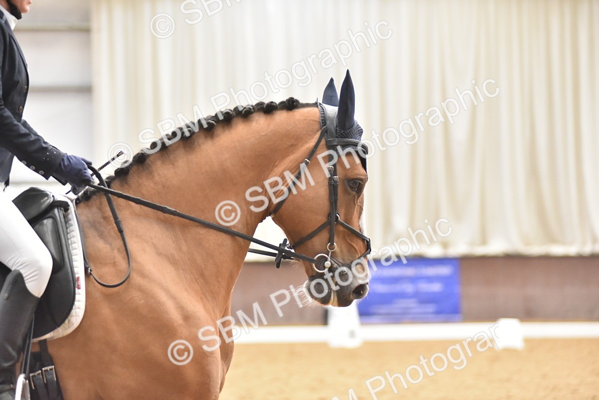 SBM_011014 - Class 8 - Novice 5