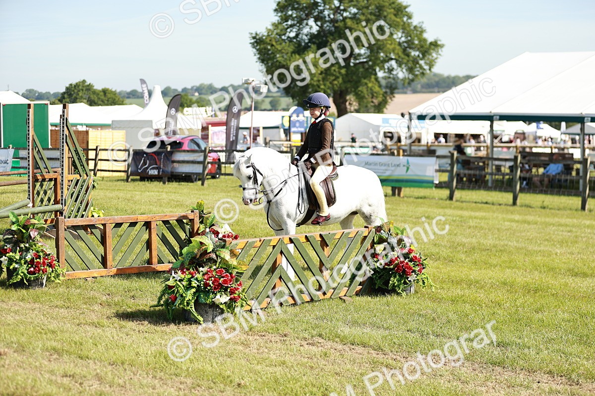 SBM_12682 - Class 106-107 - BSPS LIHS Working Sports Pony