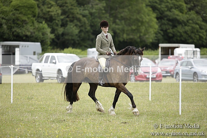 BVR160717-1318 - Ring 1 BVRC Show 16/07/17