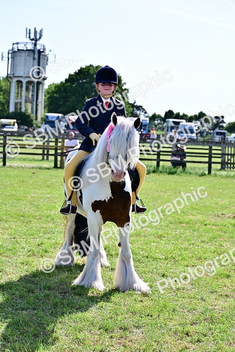 SBM_09448 - Class 63-65 - Traditional Gypsy Cobs In Hand & Ridden