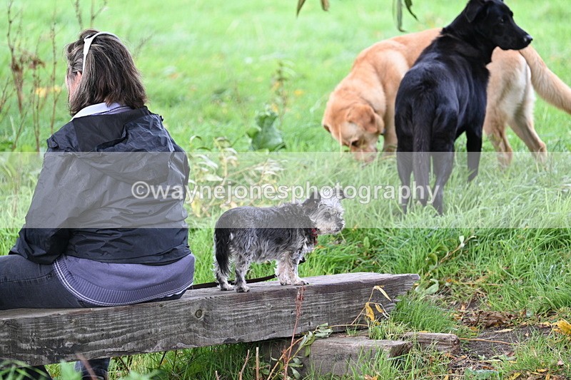 WJ7_0806 - Time 14:27 to 15:11