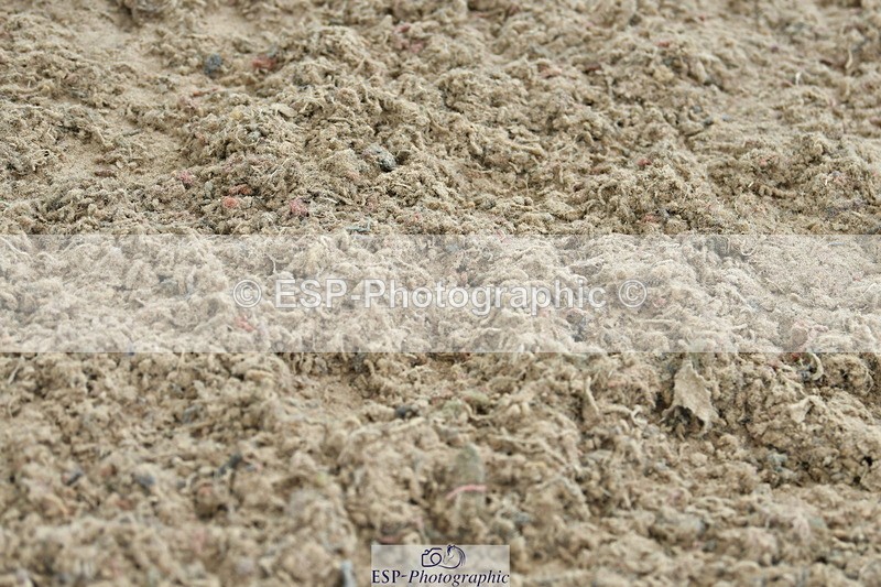 230721A-121747-06077 - Cls 18, 1 Star Silver 1.20m