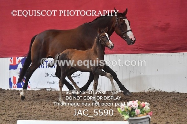JAC_5590 - 13 Zi Real McCoy
