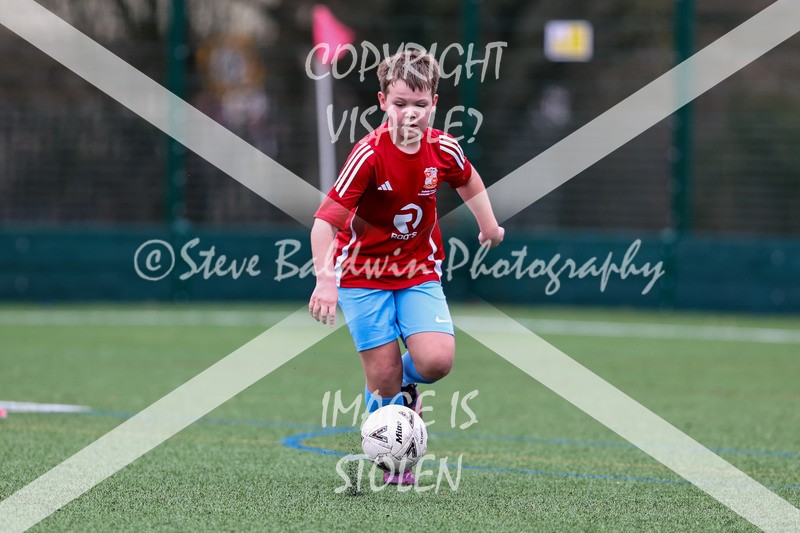 1DX30253 - 2026-02-22 FC Abbey Meads U11 Blue V FC Abbey Meads U11 Purple