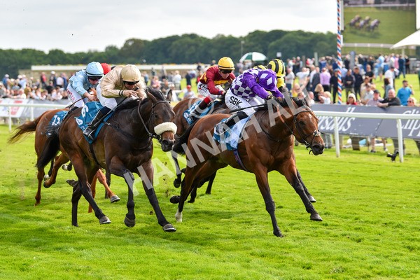 170523-Race 5-Dark Thirty-8882 - Race 5 4.10pm Conundrum HR Consulting Handicap