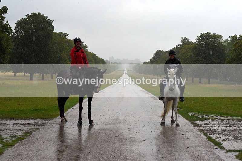 TT3_8841 - Time at Crossing 12:55 to 15:02